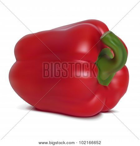 Red sweet pepper