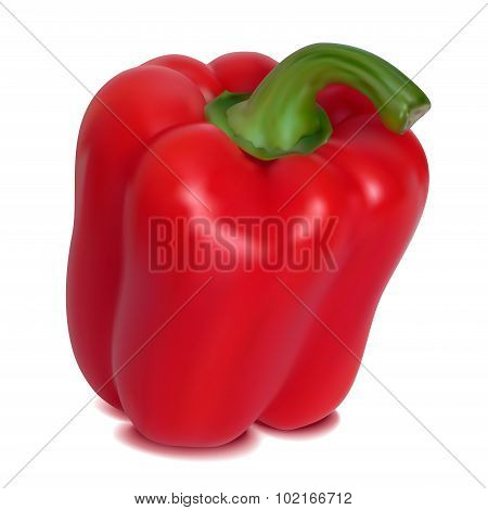Red sweet pepper