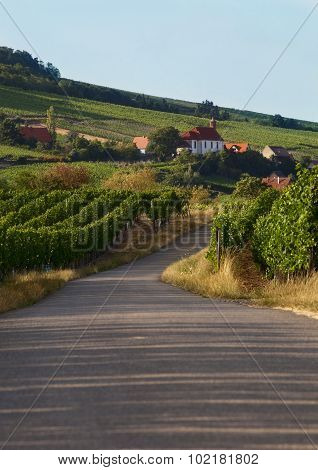 The road to the village