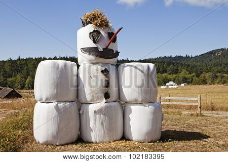 Hay Bale Snowman In Summer