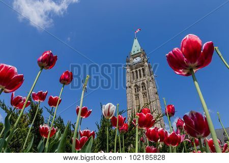 Parliament Building in Ottawa Canada