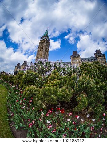 Parliament Building in Ottawa Canada