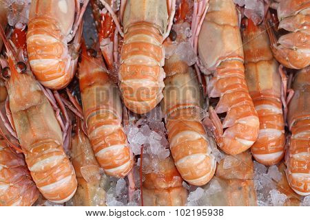 King prawns