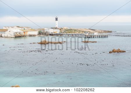 Harbor At Doornbaai