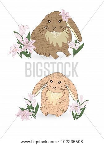 Rabbits.
