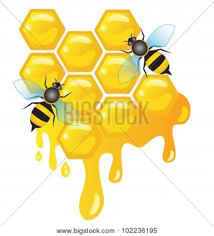 Worker Bees On Honey Cells With Honey Dripping