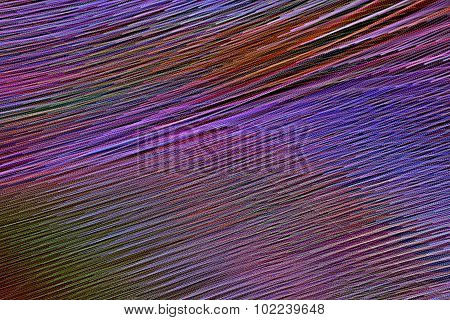 Psychedelic Pattern