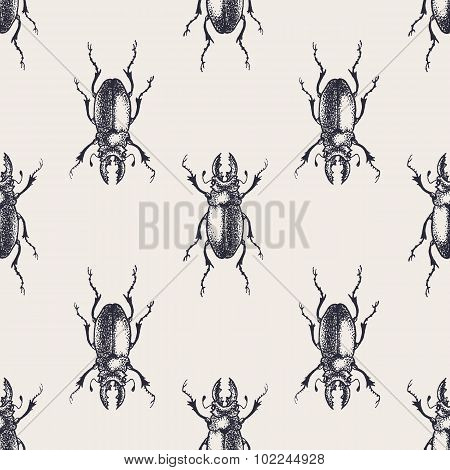Beetles vintage seamless pattern