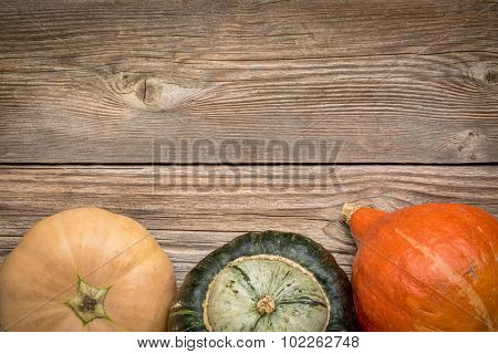 rustic weathered wood background with winter squash (Thelma Sanders, buttercup and hubbard)