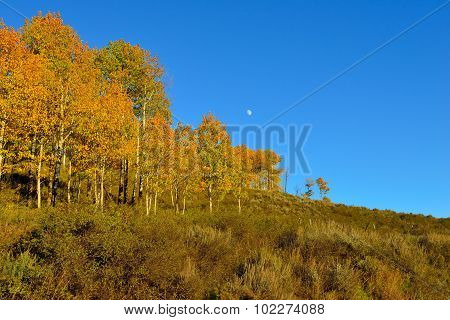 Sunset And Moon In Colorado During Foliage Season