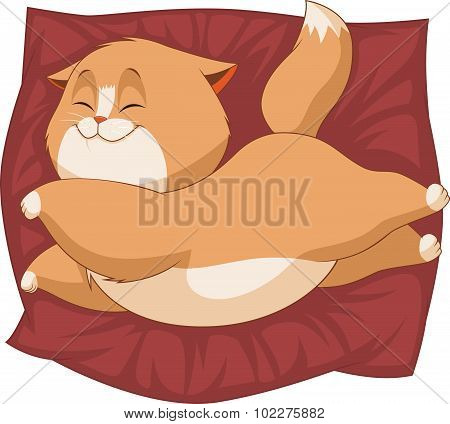 Cute kitten