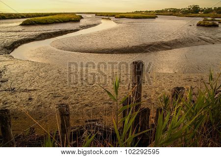 Landscape Near Comporta, Portugal