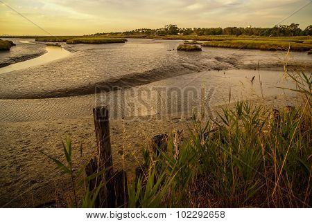 Landscape Near Comporta, Portugal
