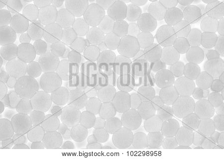 Polyfoam Background