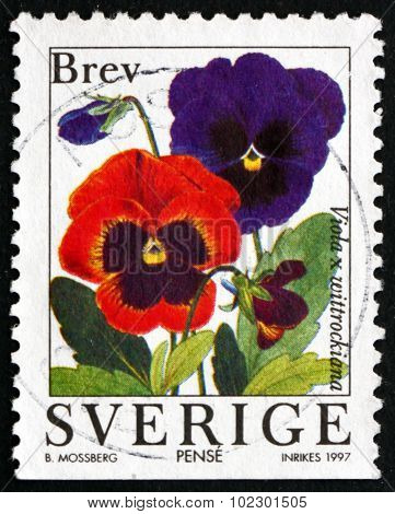 Postage Stamp Sweden 1997 Garden Pansy, Flowering Plant
