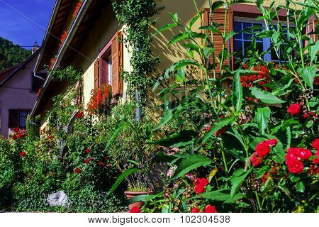 Old Alsacien House In Small Village