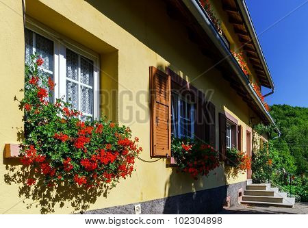 Old Alsacien House In Small Village