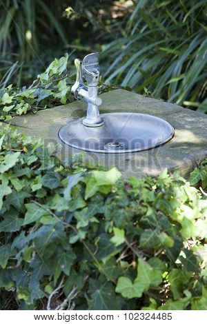 Drinking Fountain In Park