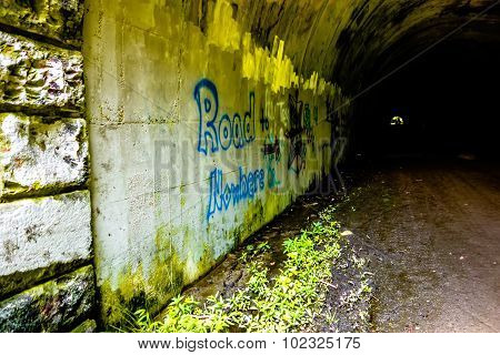 Tunnel To Road To Nowhere At Lakeshore Trailhead Near Lake Fontana