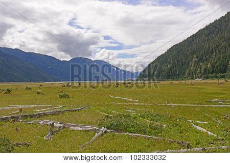 Former Harber Filled By Glacial Silt