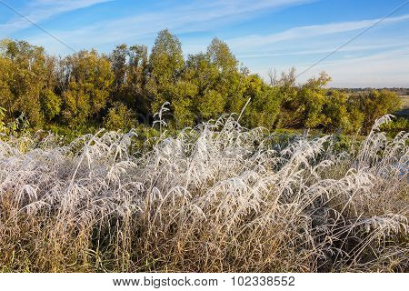 Frosty autumn morning