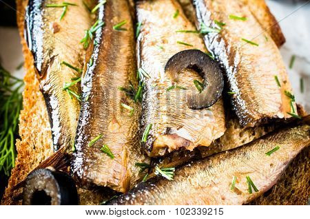 Sardines, Sprats