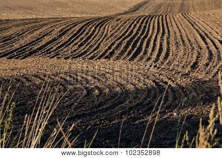 Ploughed Field With Dark Earth And Curved Tracks