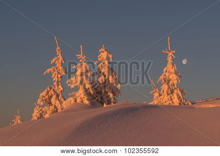Fantastic orange evening landscape glowing by sunlight. Dramatic wintry scene with snowy trees. Kukul ridge, Carpathians, Ukraine, Europe. Merry Christmas!