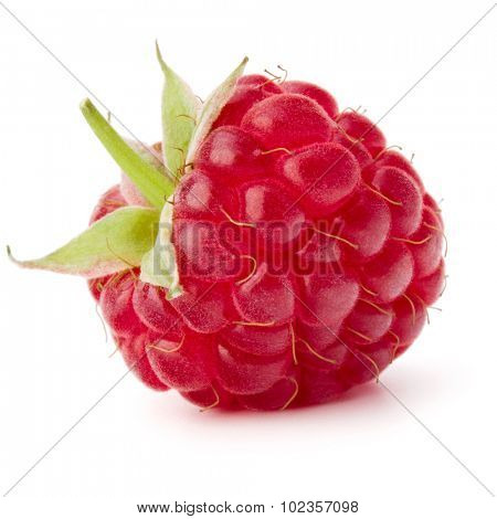 ripe raspberry isolated on white background close up