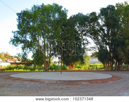 Threshing Floor