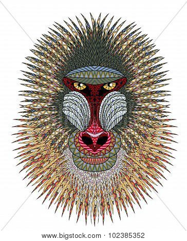 Mandrill