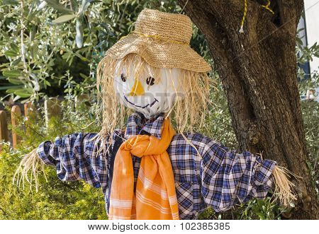 Fun Scarecrow