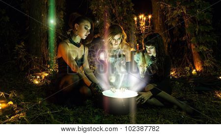 Three Beautiful Witches Are Looking In To The Magic Cauldron. Dark Forest On The Background.