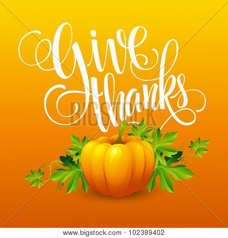 Vector pumpkin and leaves. Vector illustration