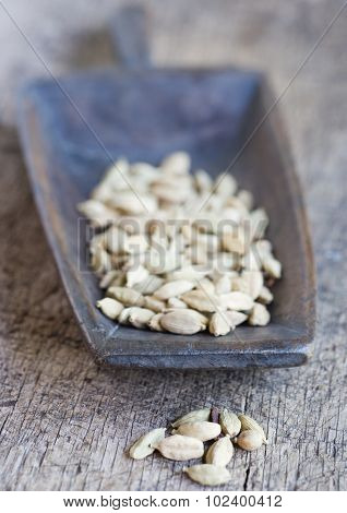 Scoop full of cardamom seeds