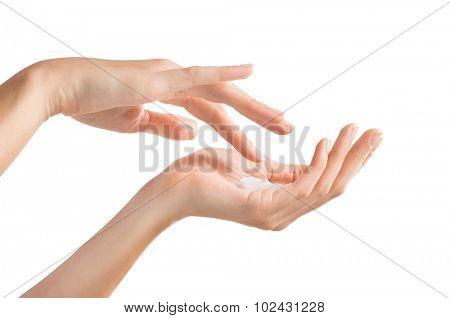 Closeup shot of beautiful female hands holding and applying moisturiser. Beauty woman's hand applying cream. Hands isolated on white background 