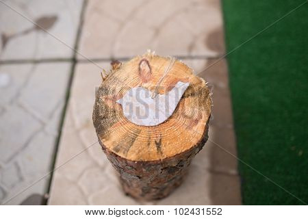 Wedding decorations