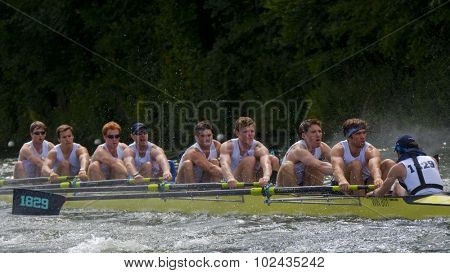 HENLEY, ENGLAND. 01-07-2010. 1829 Boat Club in action on day 2 of the Henley Royal Regatta 2010 held on the River Thames.  