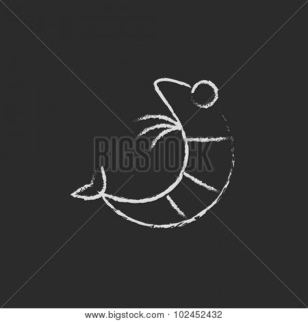 Shrimp hand drawn in chalk on a blackboard vector white icon isolated on a black background.