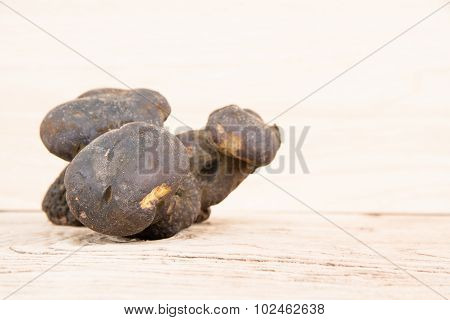 Bolete
