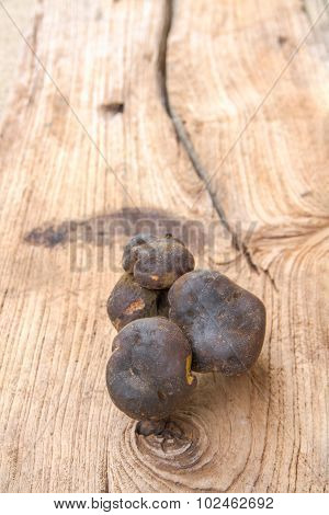 Bolete