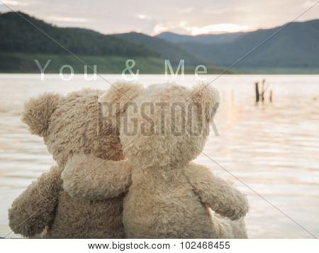 Teddybears enjoying the view