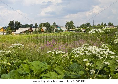 Village Landscape