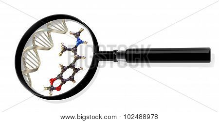 Science Dna molecule medicine magnifying lense