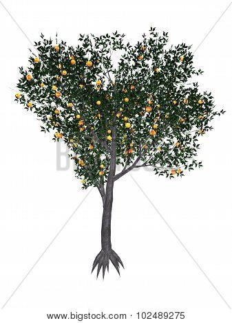 Peach tree - 3D render