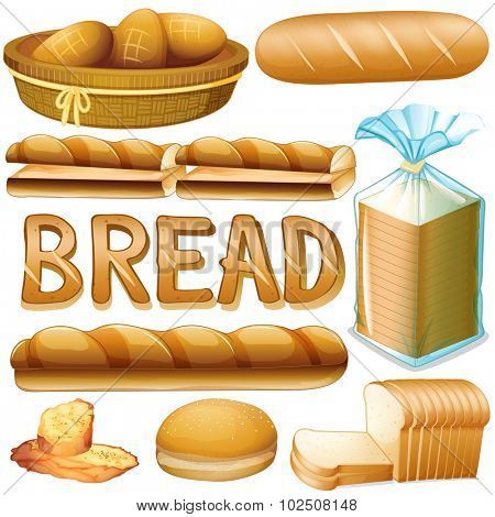 Bread in various kinds illustration