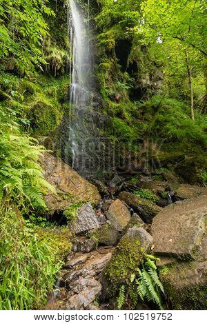 Mallyan Spout