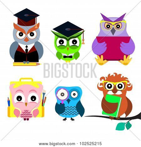 Cartoon smart owl set