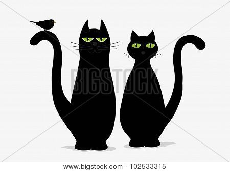 Two Cute Black Cats And Bird