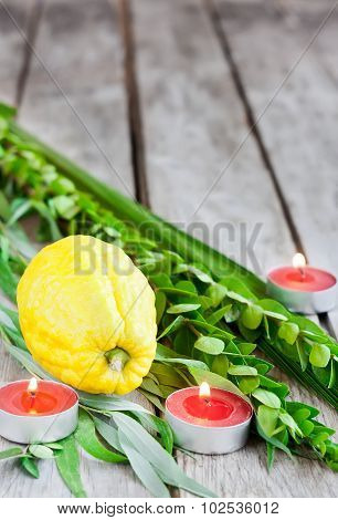 Symbols Of Sukkot